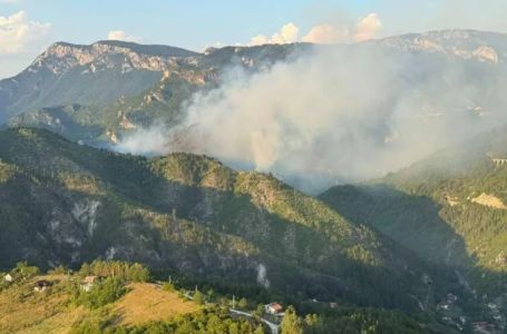 Požar na području Konjica i dalje aktivan, angažirani brojni vatrogasci i helikopteri