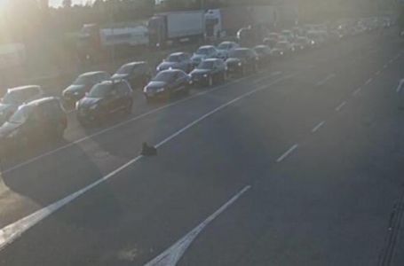 Stanje na putevima u BiH: Duge kolone vozila na graničnim prijelazima