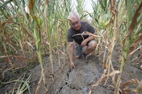 Njemački klimatolog otkrio šta nas čeka: "Ovo je vjerovatno najhladnije ljeto"