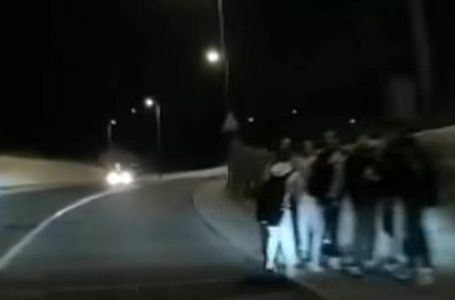 U Dalmaciji zabilježili prizor od kojeg se ledi krv u žilama