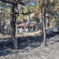 Požar kod Omiša progutao sve pred sobom, ali ova kuća je ostala čitava: Vlasnik nije mogao vjerovati