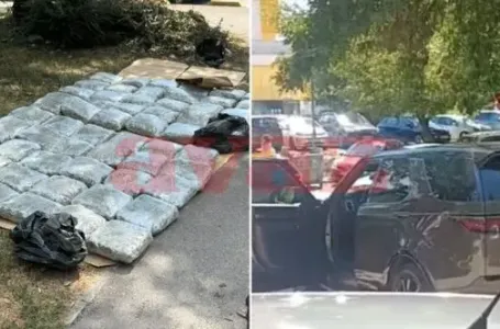 Detalji akcije "Transporter" na Marindvoru: Zaplijenjeno 73 kilograma kanabisa