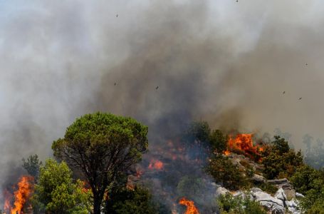 Kanadski turisti zapalili požar u Dalmaciji! Jedna osoba uhapšena, policija u velikoj potrazi...