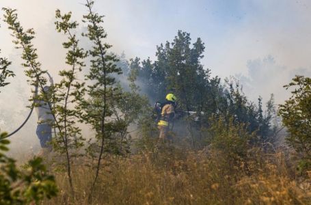 Kanađani koji su izazvali požar u Dalmaciji su Srbi iz BiH? Šok informaije o ženi koja je uhapšena
