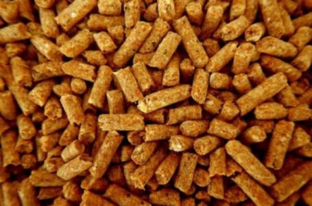 Peletara od 8,45 miliona KM nikad nije izgrađena: Građani i dalje čekaju obećani jeftiniji pelet