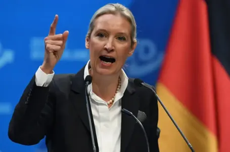 AfD objavio plan za Njemačku: Ukidamo euro, zatvaramo granice i napuštamo Schengen