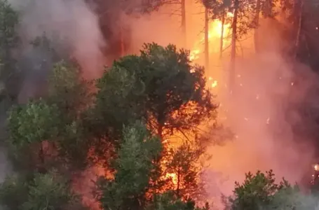 Izmakla kontroli: Ovo su prizori s Trebevića, vatra guta sve pred sobom