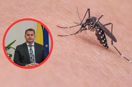 Virus Zapadnog Nila hara regijom: Imaju li bh. građani razloga za paniku?