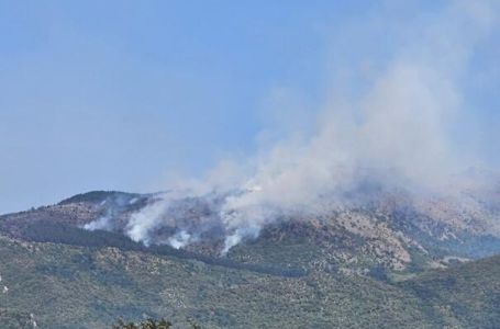 Požar na Trebeviću ponovo aktivan: U akciju gašenja uključuje se oko 100 radnika