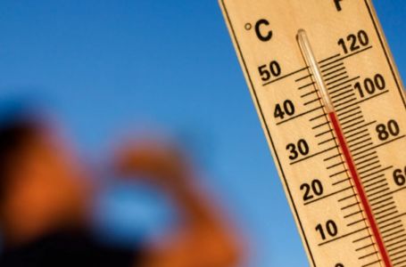 Više od 16.000 ljudi umrlo zbog vrućine u Njemačkoj