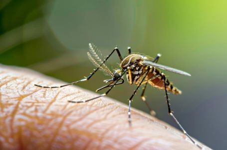 Virus Zapadnog Nila sve se više širi: Ovo su simptomi opasne bolesti