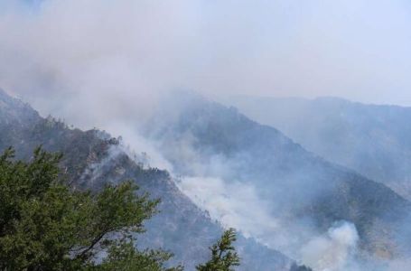 Srbiju pogodio novi veliki šumski požar: Gasi ga ruski avion