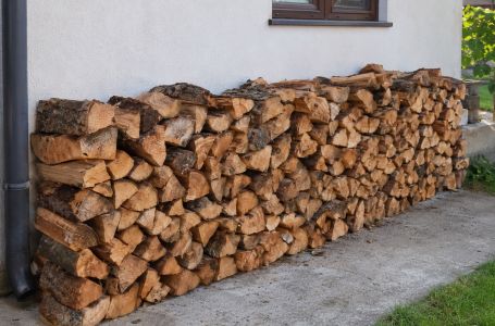 Držite drva uz zid kuće? Evo koji vam se problem može pojaviti