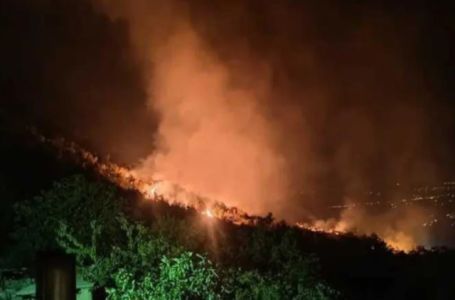 Turistkinju u Puli upozorila na požar, njen potez ju je šokirao