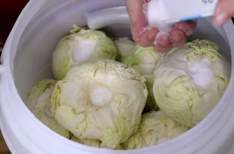 Koliko soli ide na 10 litara vode za kiseli kupus? Samo ovo je prava količina
