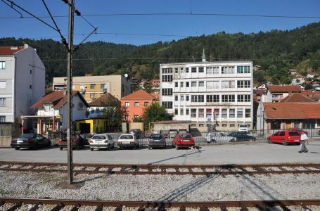 Tragedija kakva se ne pamti: Dva mladića iz istog grada preminula od ujeda insekata