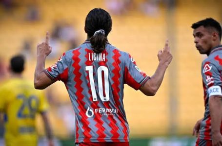 Barbarez ga silno treba: Hoće li Adin Ličina biti novi Zmaj?