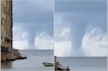 Na Jadranu snimljena gigantska pijavica koja tjera strah u kosti: Svi se pitaju šta je to...