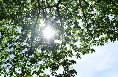 Sutra promjenljivo vrijeme u BiH, povremena kiša i pljuskovi sa grmljavinom
