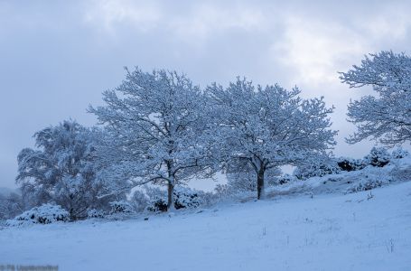 Stiže nam snijeg: Poznato i kada