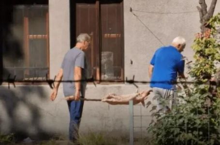 Pekao prase u Botaničkom vrtu Zemaljskog muzeja, stigla mu novčana kazna