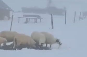 "Kao da je počela zima, a ne jesen": Oglasili se iz BH Meteo, pogledajte prizore