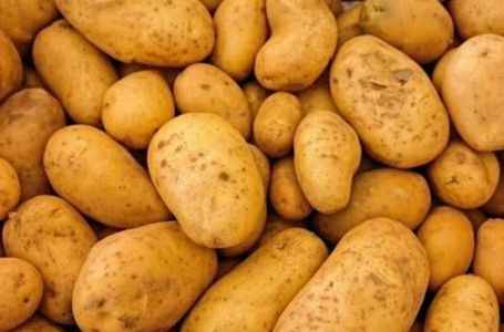 Evropi prijeti nestašica krompira: Cijene bi mogle eksplodirati