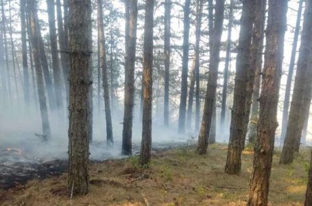 Požar na Čvrsnici i dalje aktivan, vatrogasci angažovani na gašenju