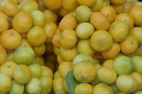 Sezona mandarina je počela, evo šta se događa u vašem tijelu kad ih jedete svaki dan