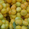 Sezona mandarina je počela, evo šta se događa u vašem tijelu kad ih jedete svaki dan