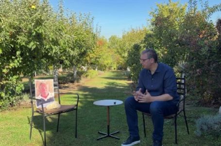 Vučić objavio video kako razgovara s kamenom za kupus