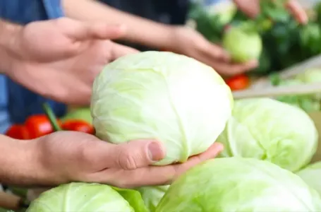 Do kada treba ukiseliti kupus? Starinska pravila za čvrste glavice i bistar rasol