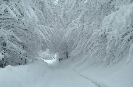 Hoće li ove godine biti snijega za Božić? Njemački meteorolozi otkrivaju što nas čeka