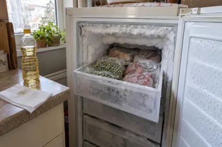 Ako vam se u zamrzivaču stalno hvata led, stavite ovu namirnicu i riješite problem bez muke